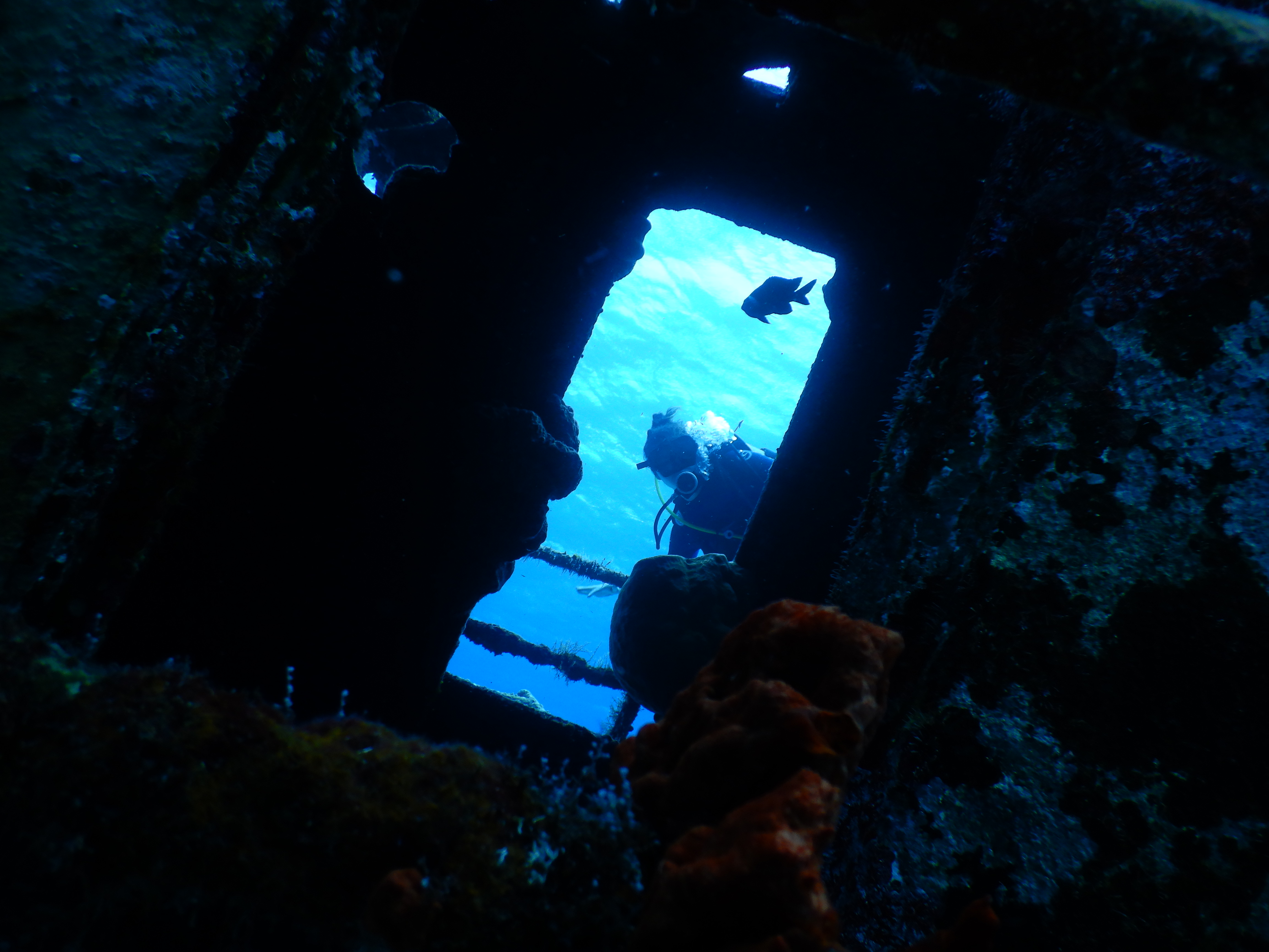 Dive Photo 8